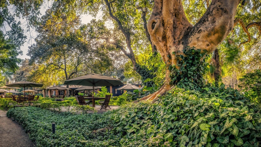 Arusha Coffee Lodge at Elewana Arusha Coffee Lodge, Arusha, Tanzania.