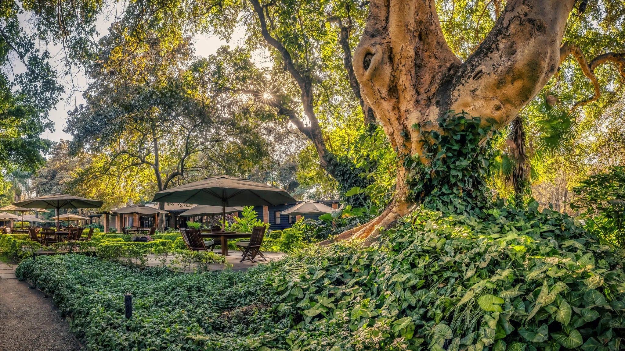 Arusha Coffee Lodge at Elewana Arusha Coffee Lodge, Arusha, Tanzania.