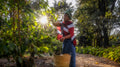 Elewana Arusha Coffee Lodge : The ‘Bean-to-Cup’ Coffee Estate Tour