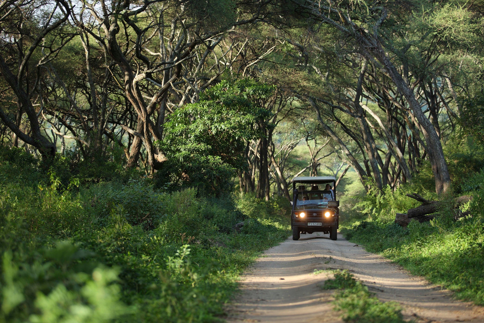Game drives (Included)