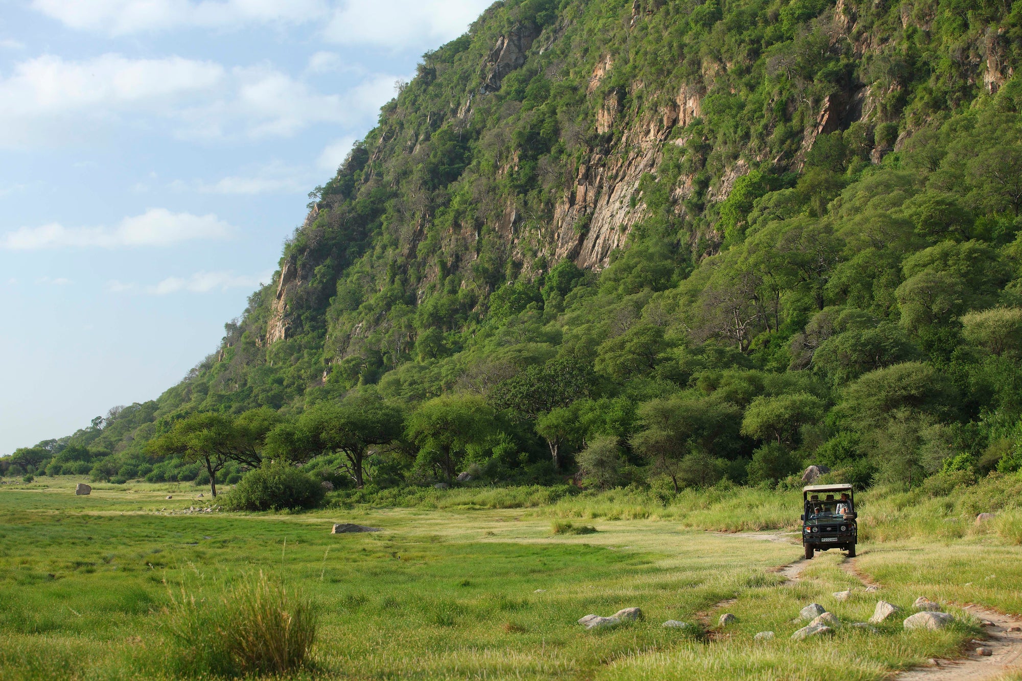 Game drives (Included)