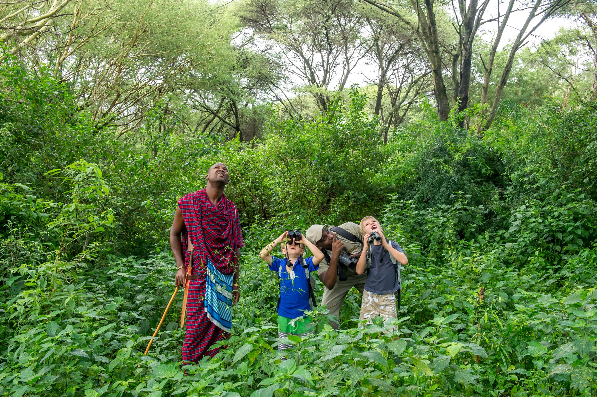 WILDchild programme (Included)