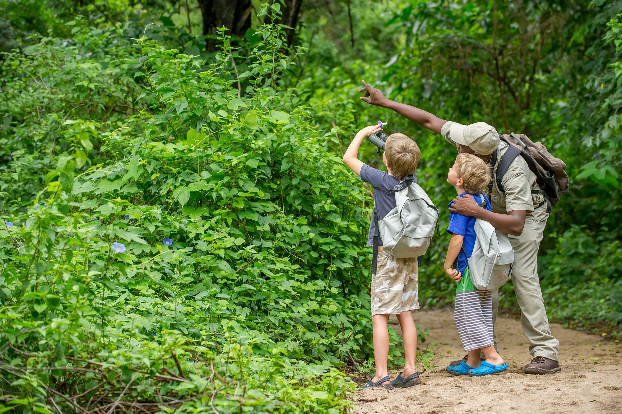 WILDchild programme (Included)