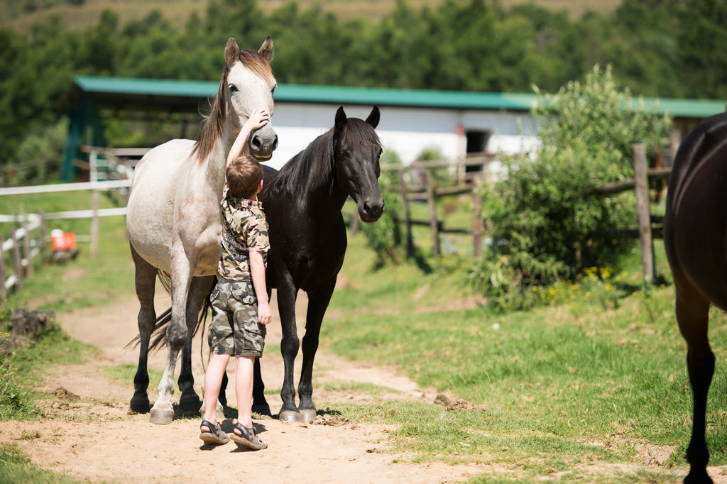 Horse Riding