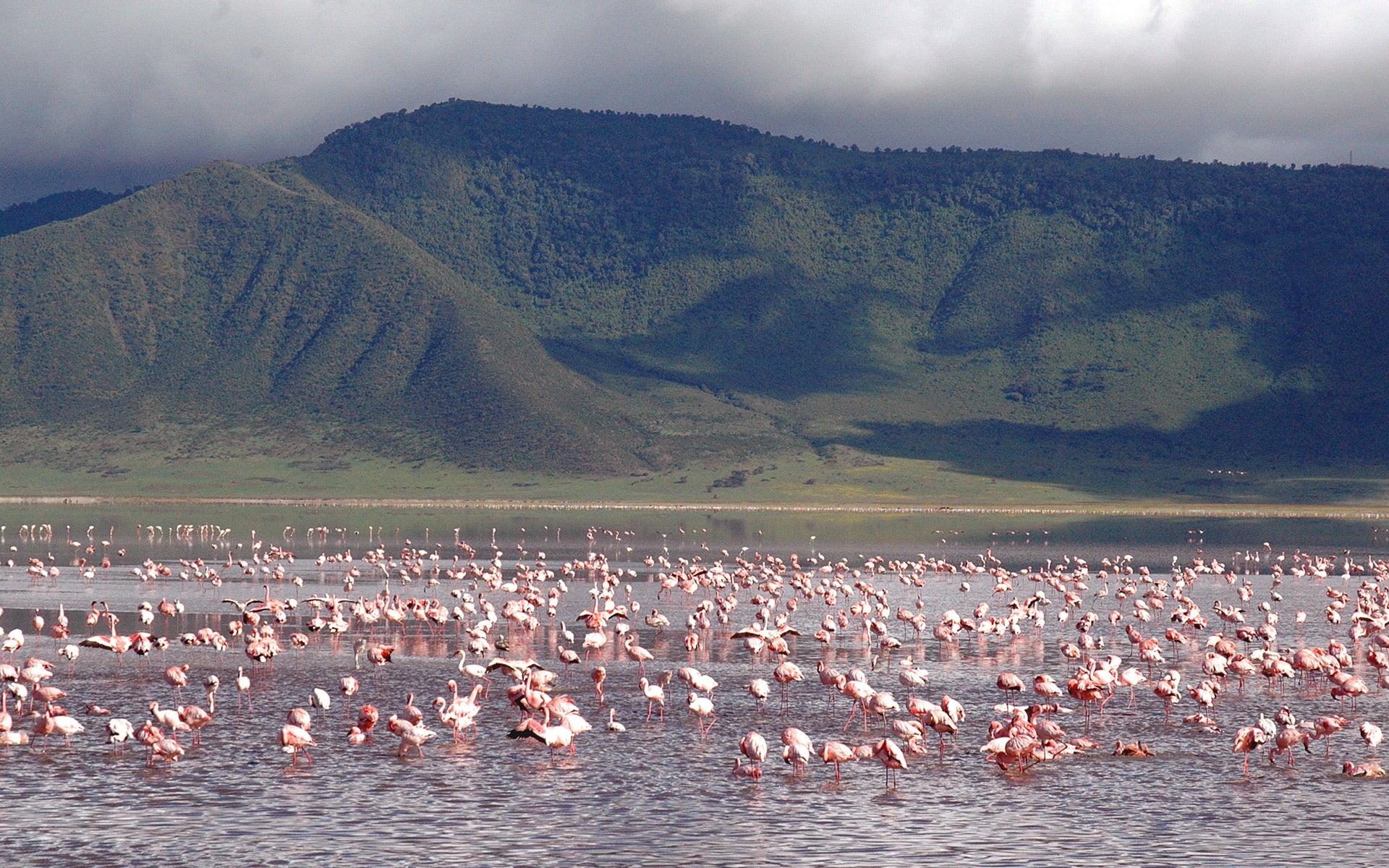 Ngorongoro Crater Lodge