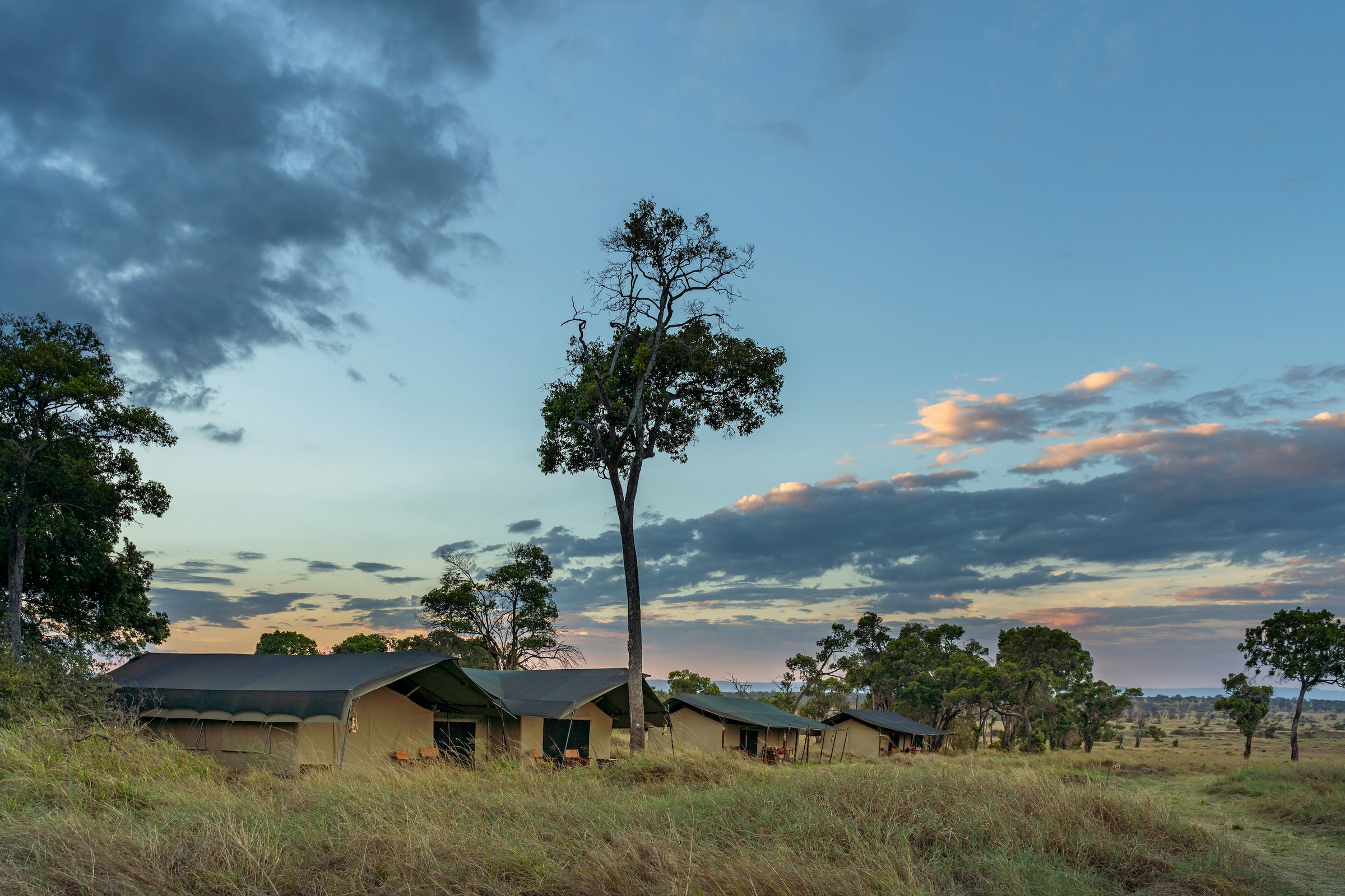 Lemala Mara Mobile Tented Camp
