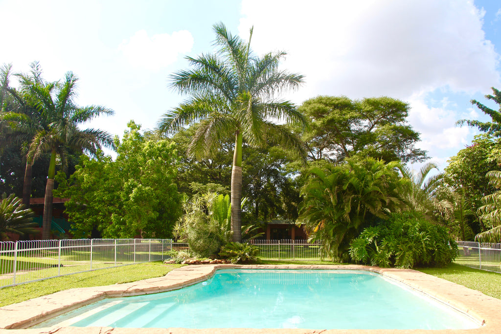 The Pool