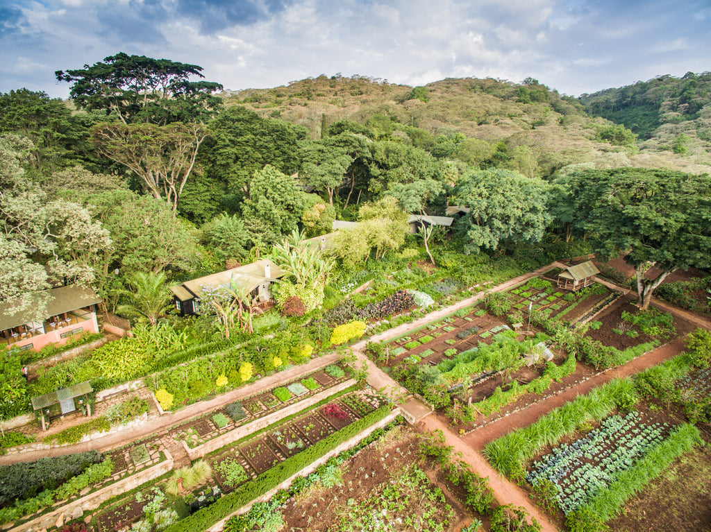 Arial view of Gibb's Farm