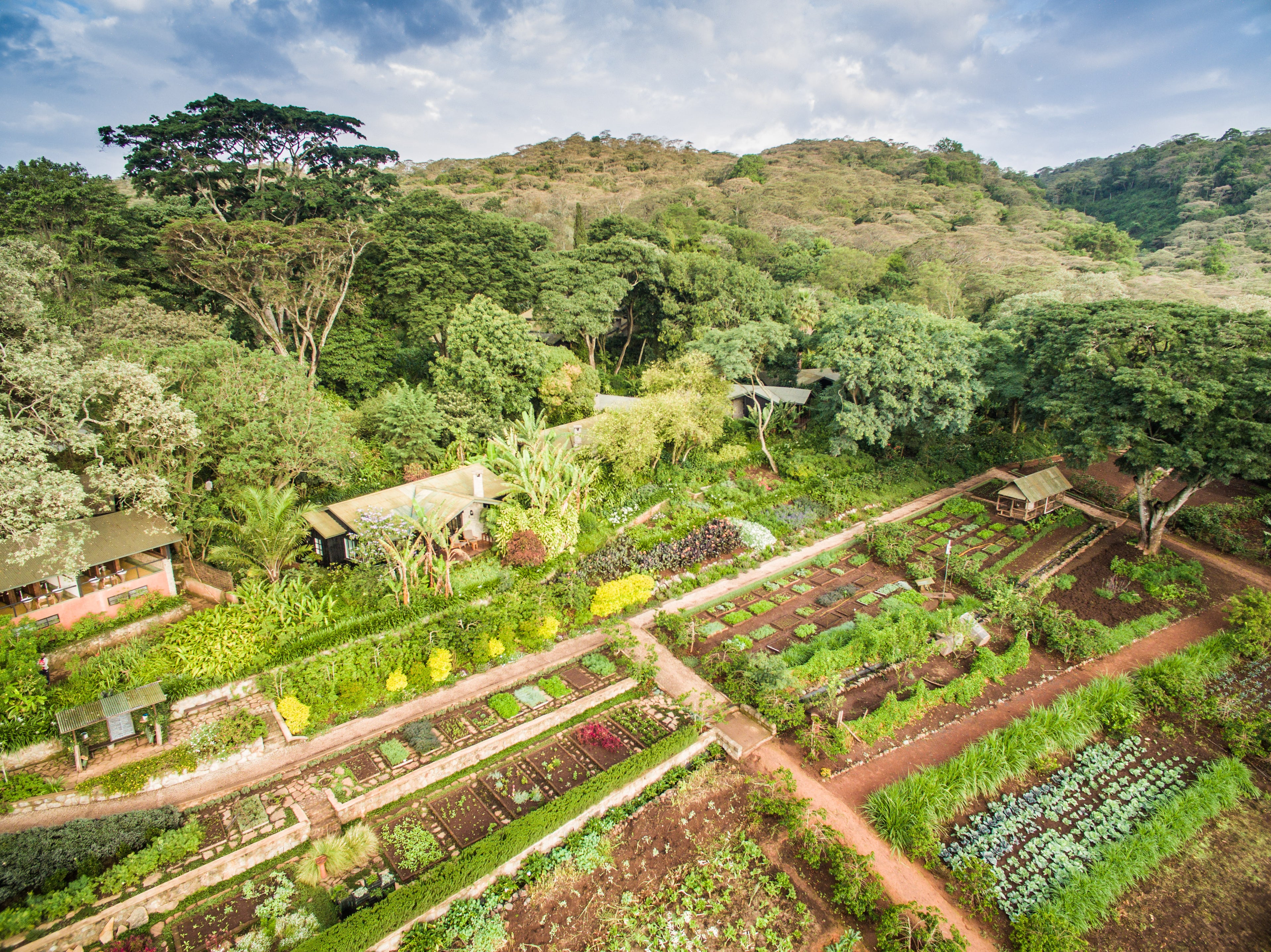 Arial view of Gibb's Farm
