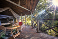 Safari Tent 