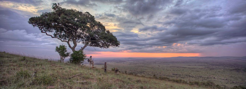 Bush walks (Included)