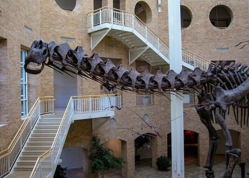 Fernbank Museum of Natural History