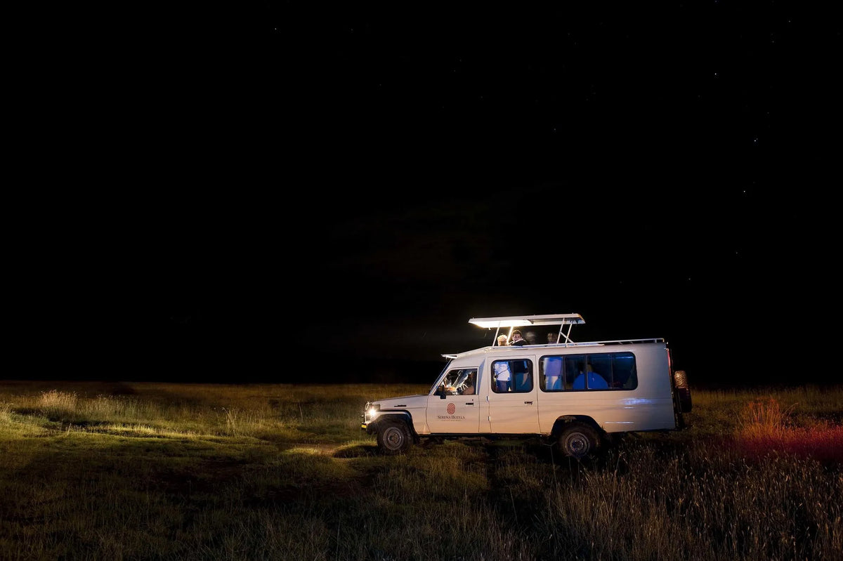 Night Game Drives