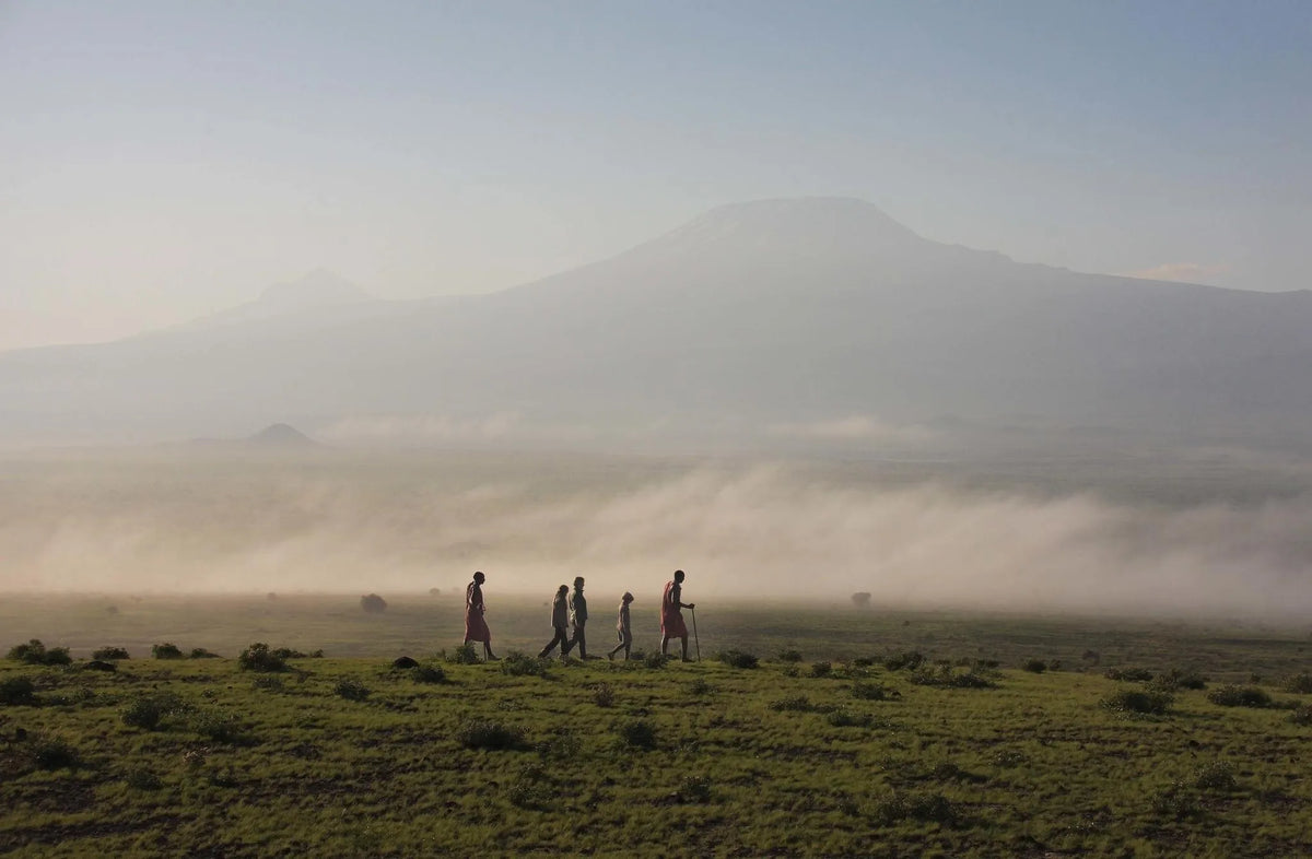 Elewana Tortilis Camp Amboseli at Elewana Tortilis Camp Amboseli, Amboseli National Park, Kenya.