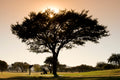 Golf Course 