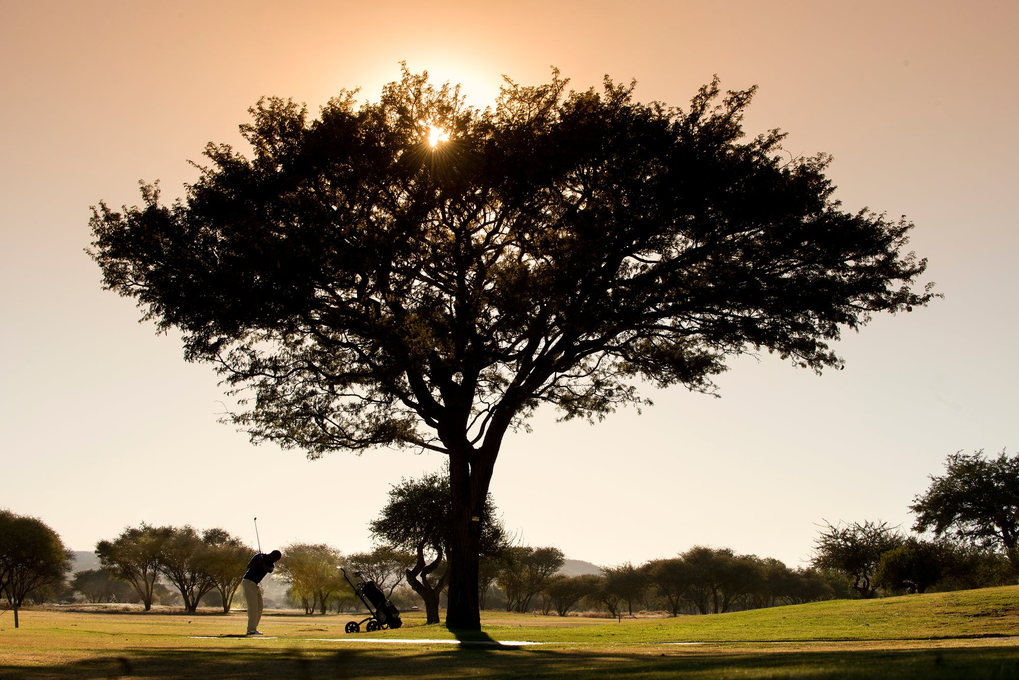 Golf Course 