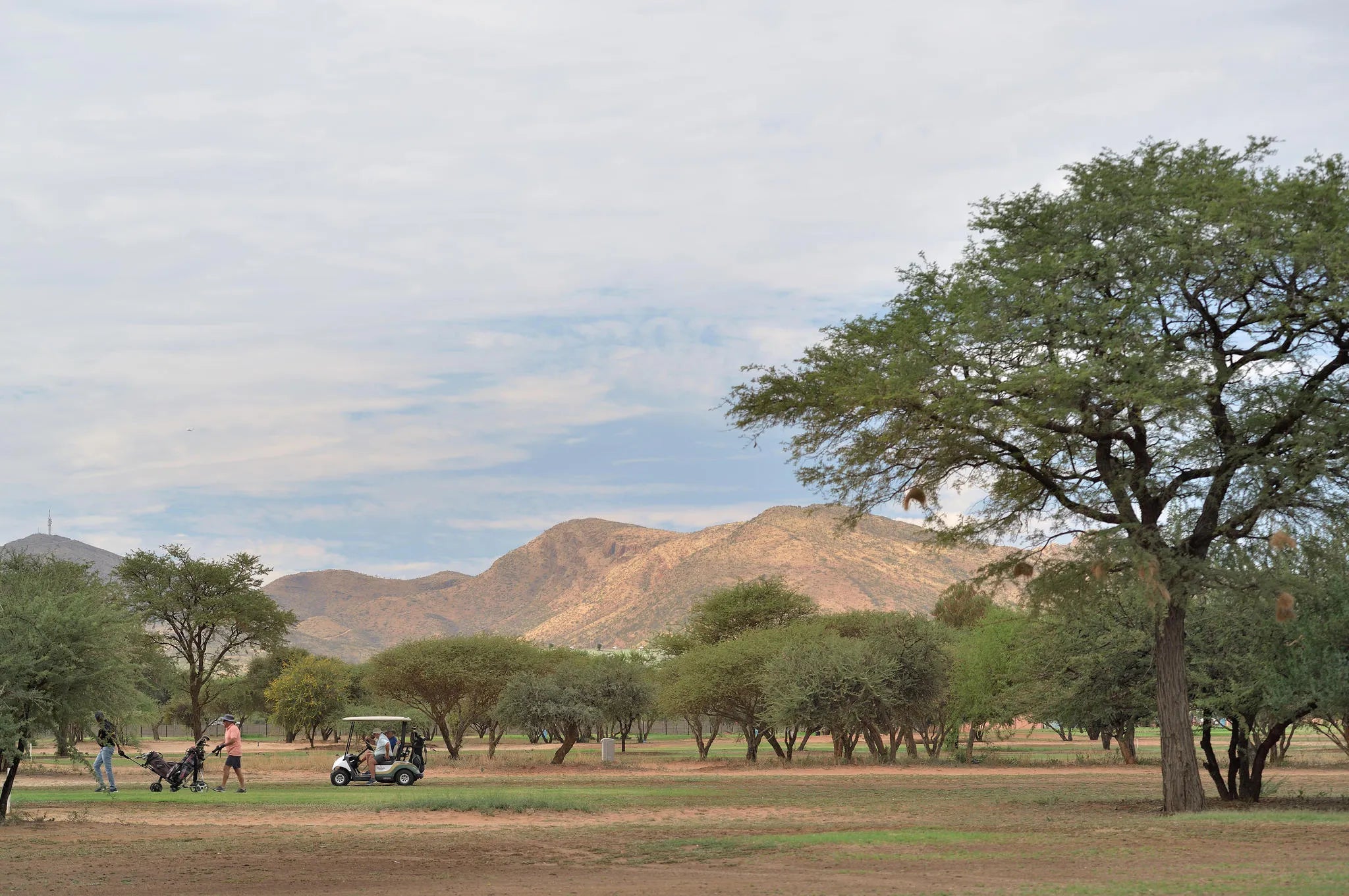 Gallery image 10.