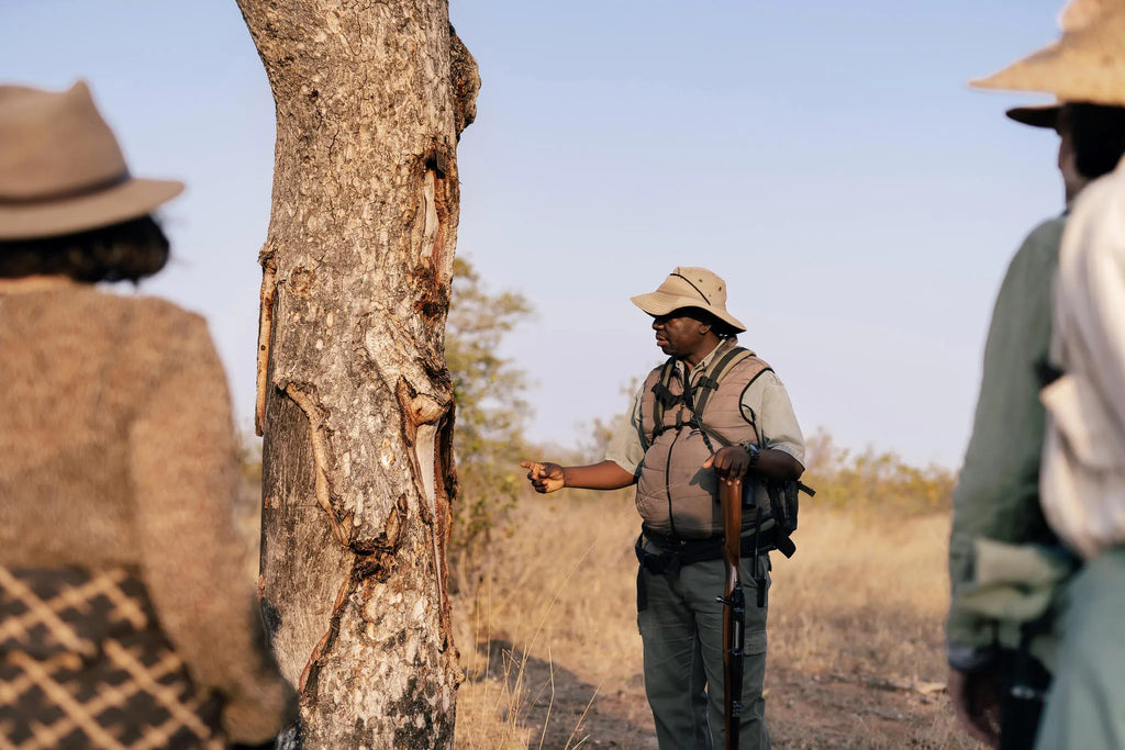 Simbavati Trails Camp at Simbavati Trails Camp, Timbavati Private Nature Reserve, South Africa.