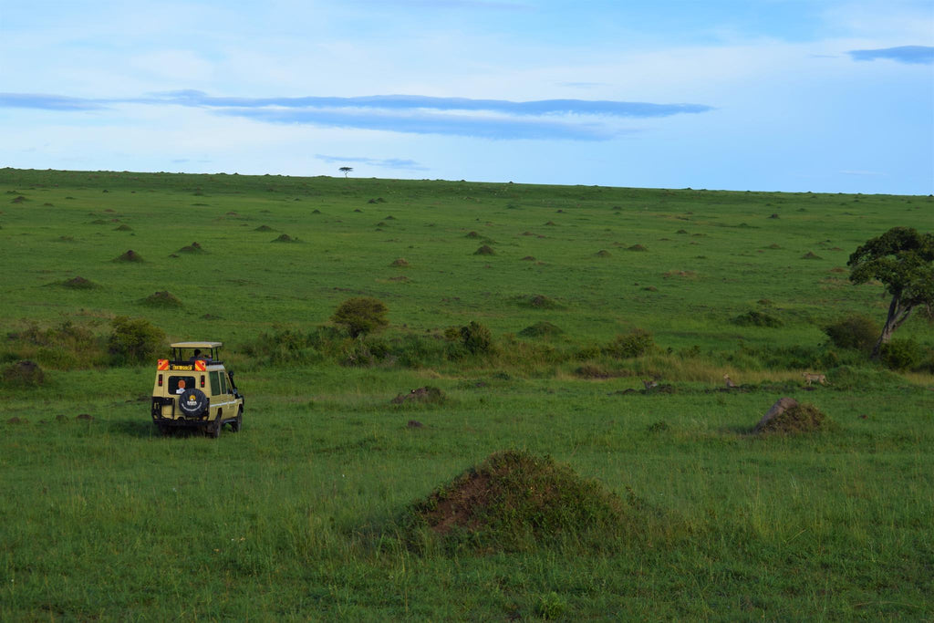 Mara Serena Game Drives gallery image 3