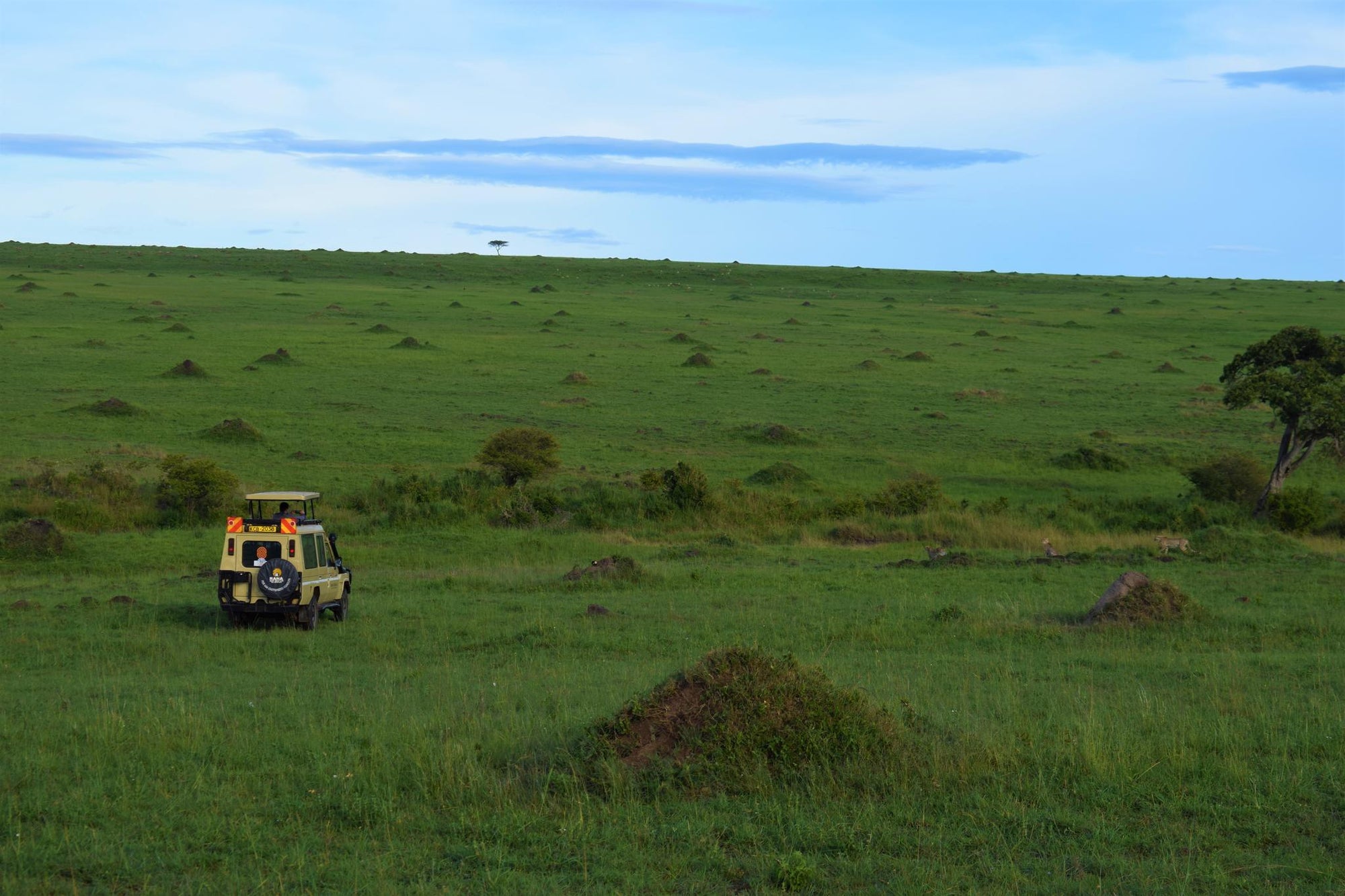 Mara Serena Game Drives gallery image 3