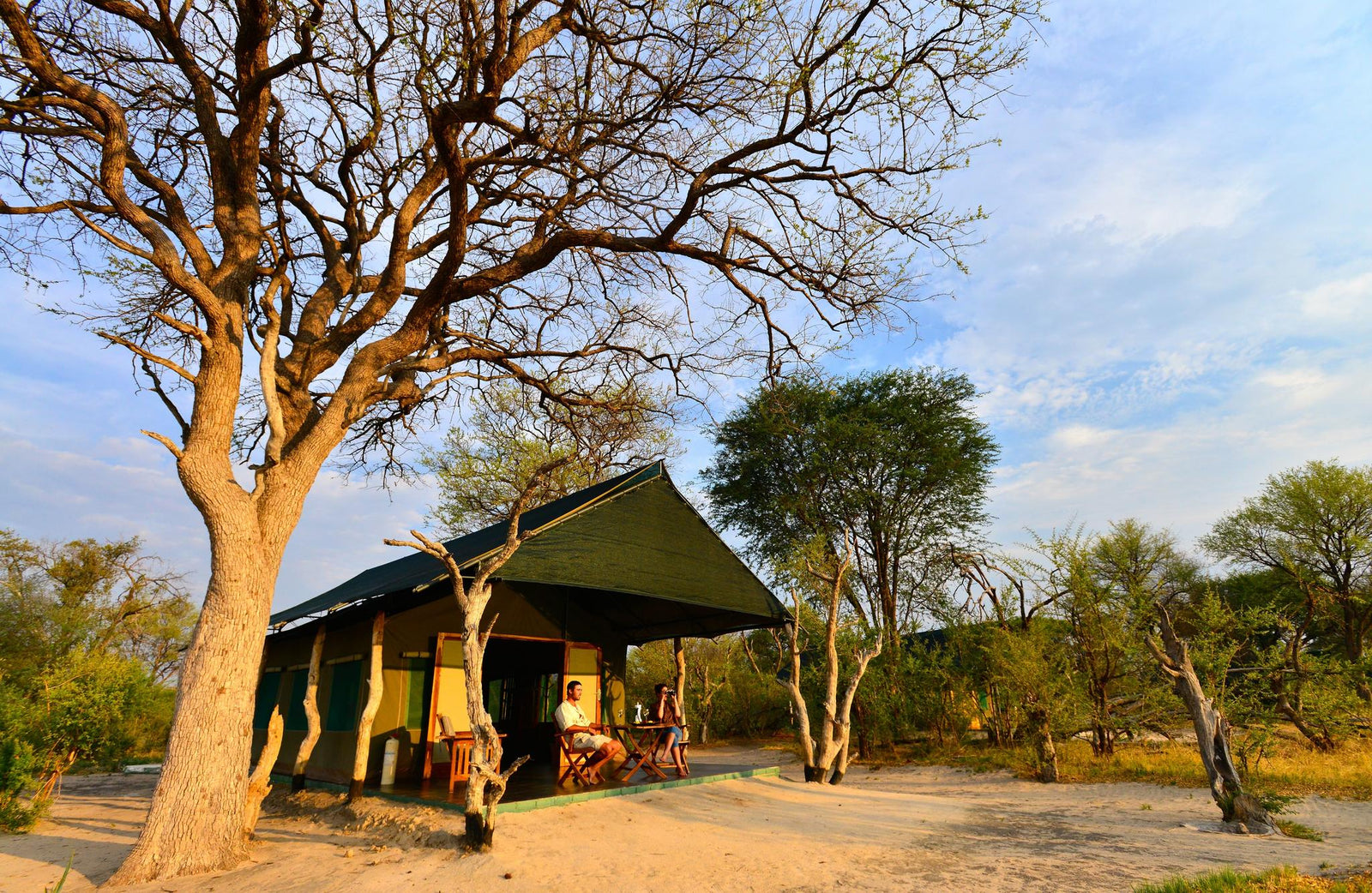 Spurwing Tent