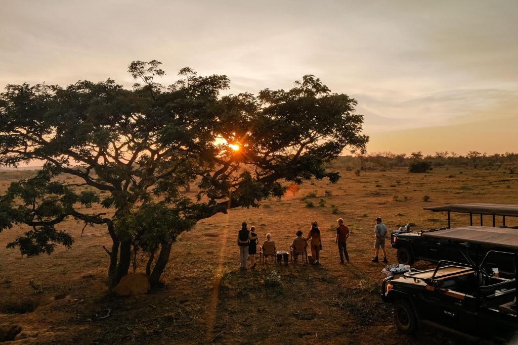 Safari Game Drives