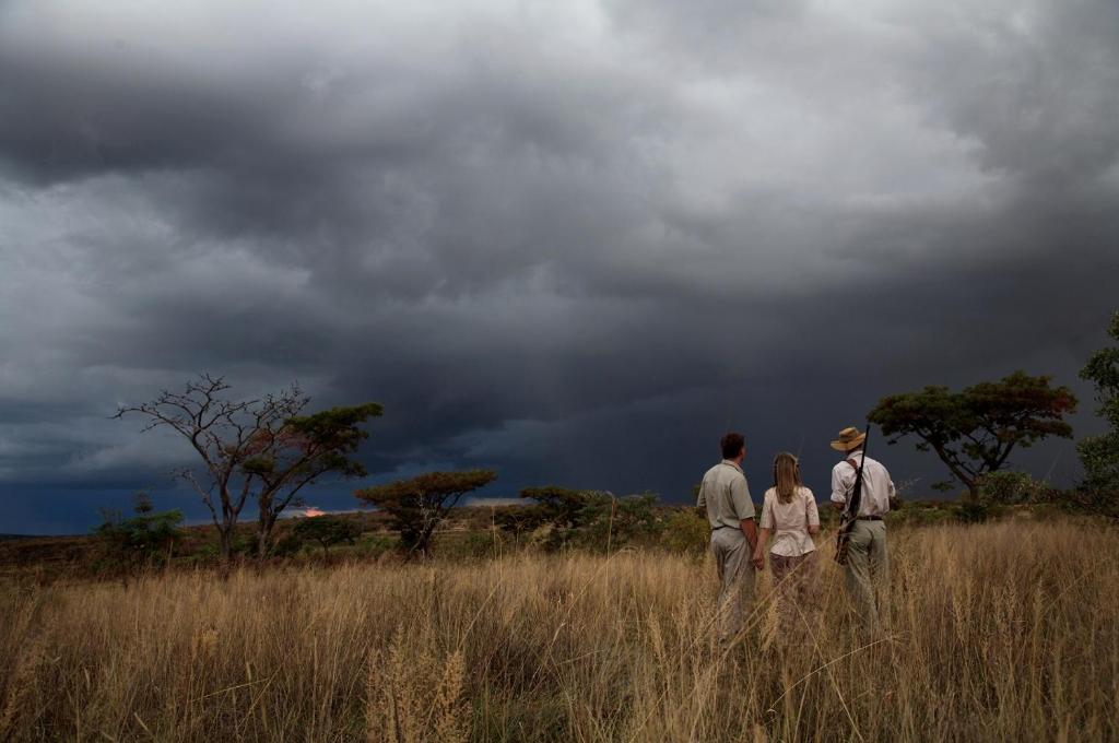 Guided walking Safari
