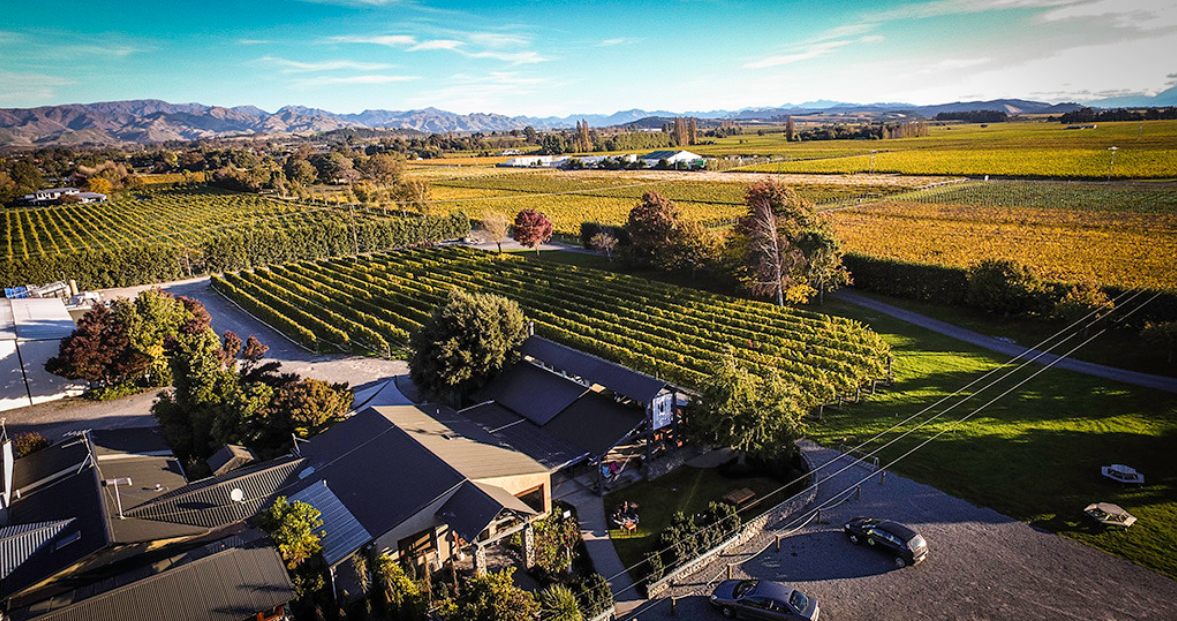 Forrest Wines