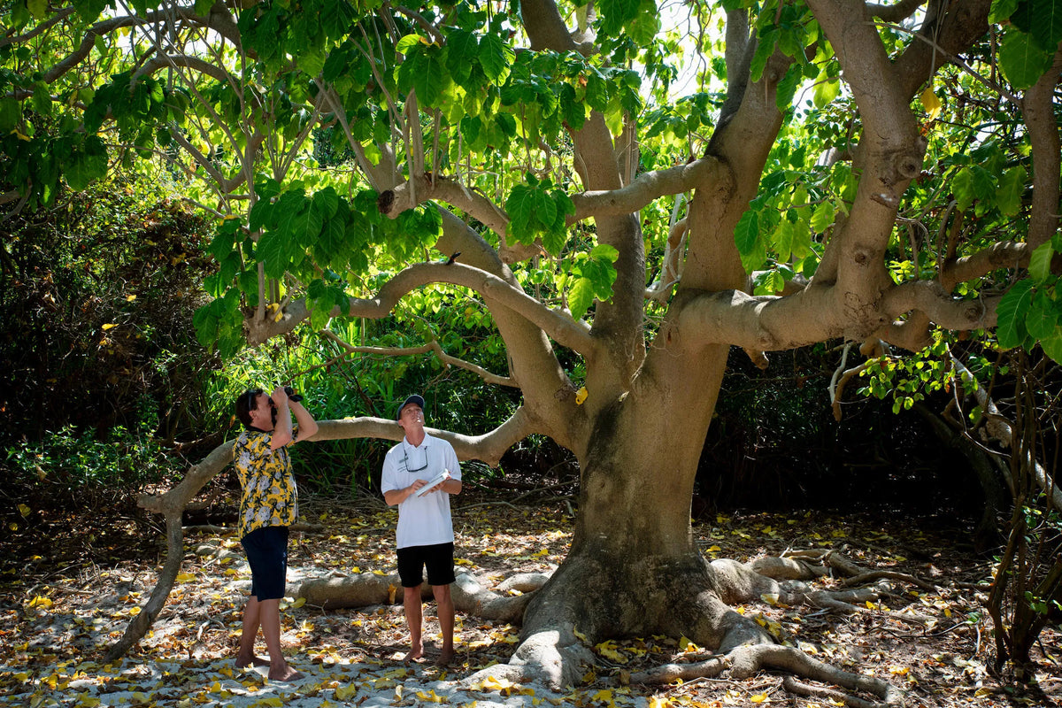 Mnemba Island Lodge - at andBeyond Mnemba Island Lodge, Mnemba Island, Tanzania.