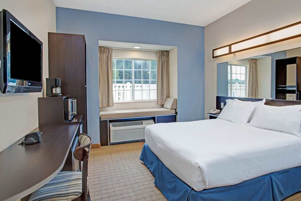 Microtel Inn & Suites by Wyndham Brooksville