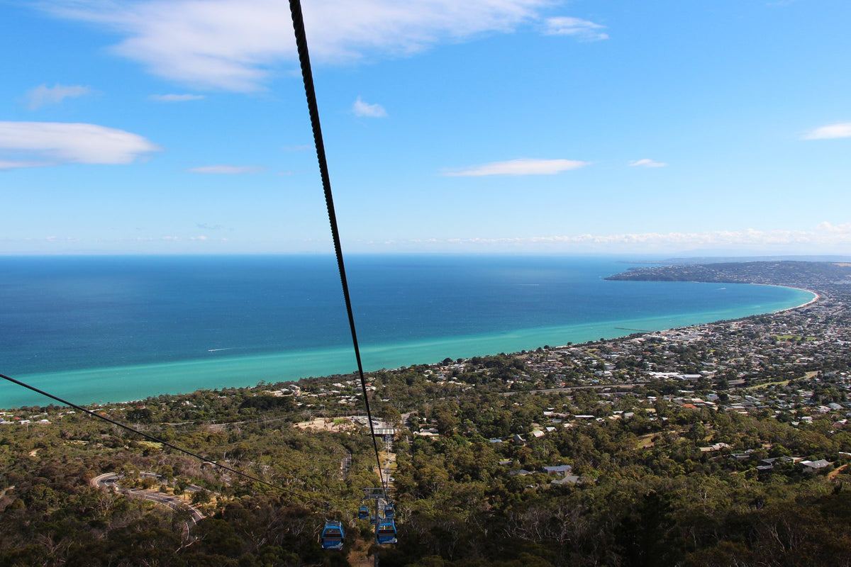 Arthurs Seat Eagle
