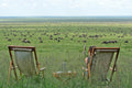 Afternoon tea with a view
