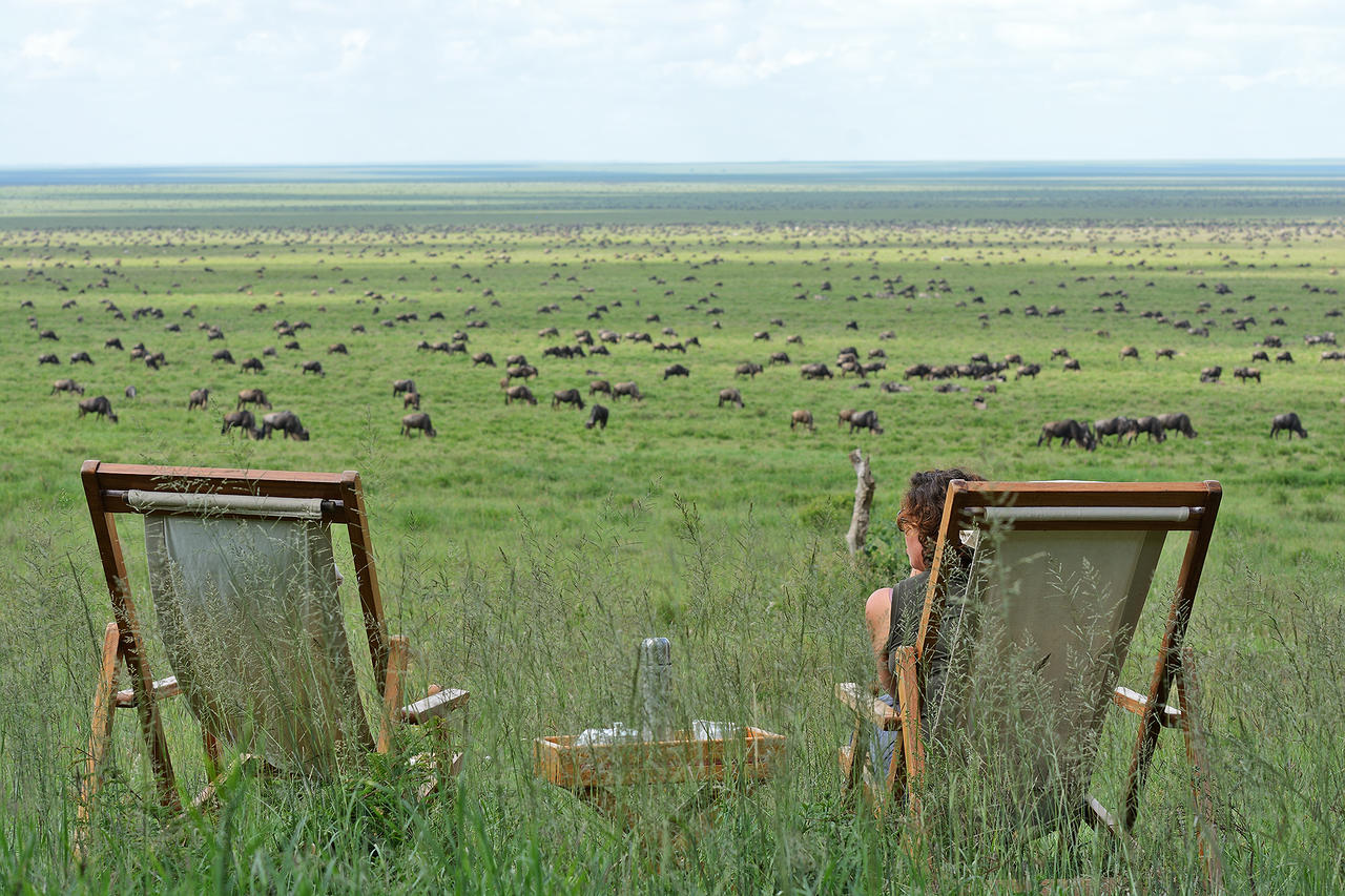 Afternoon tea with a view