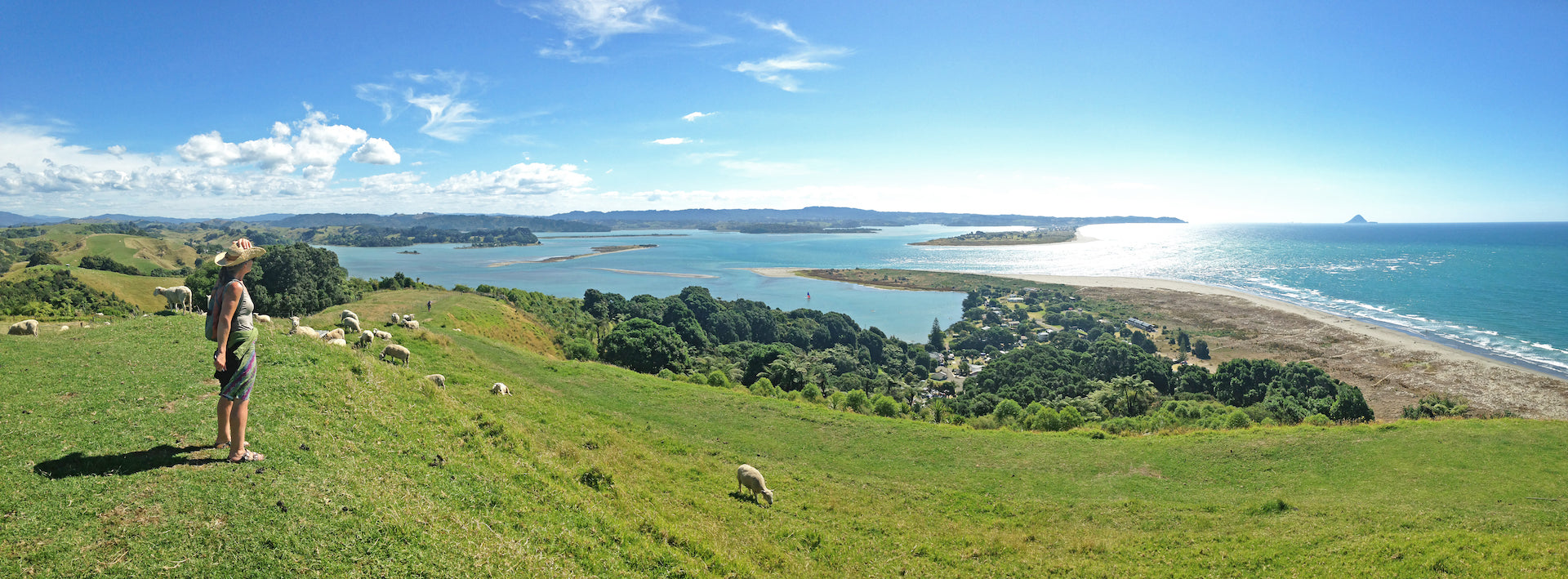 Ohiwa Harbour views