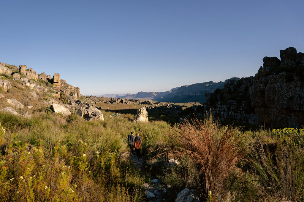 Simbavati Cederberg Ridge