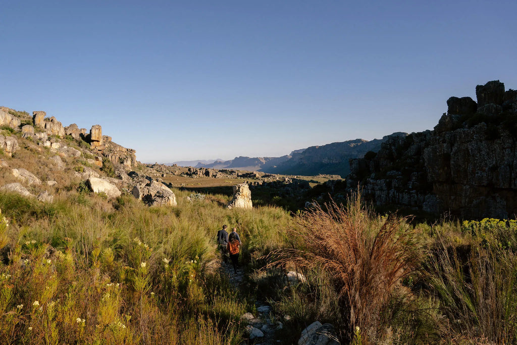 Simbavati Cederberg Ridge at Simbavati Cederberg Ridge, Clanwilliam, South Africa.