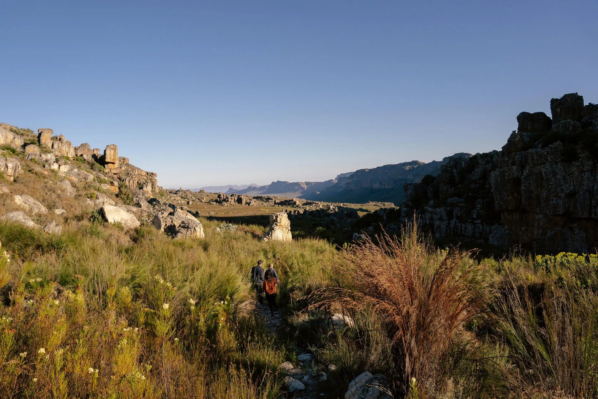 Simbavati Cederberg Ridge at Simbavati Cederberg Ridge, Clanwilliam, South Africa.