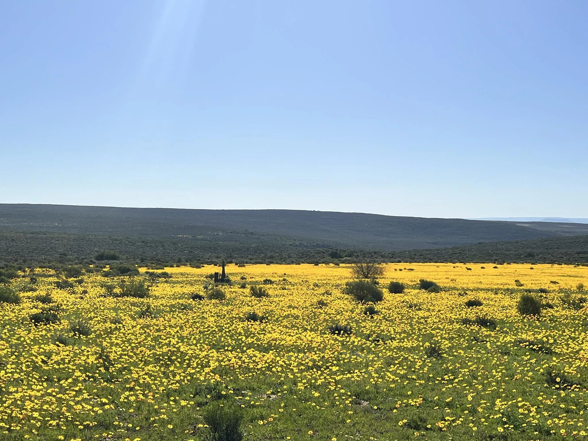 Simbavati Cederberg Ridge at Simbavati Cederberg Ridge, Clanwilliam, South Africa.