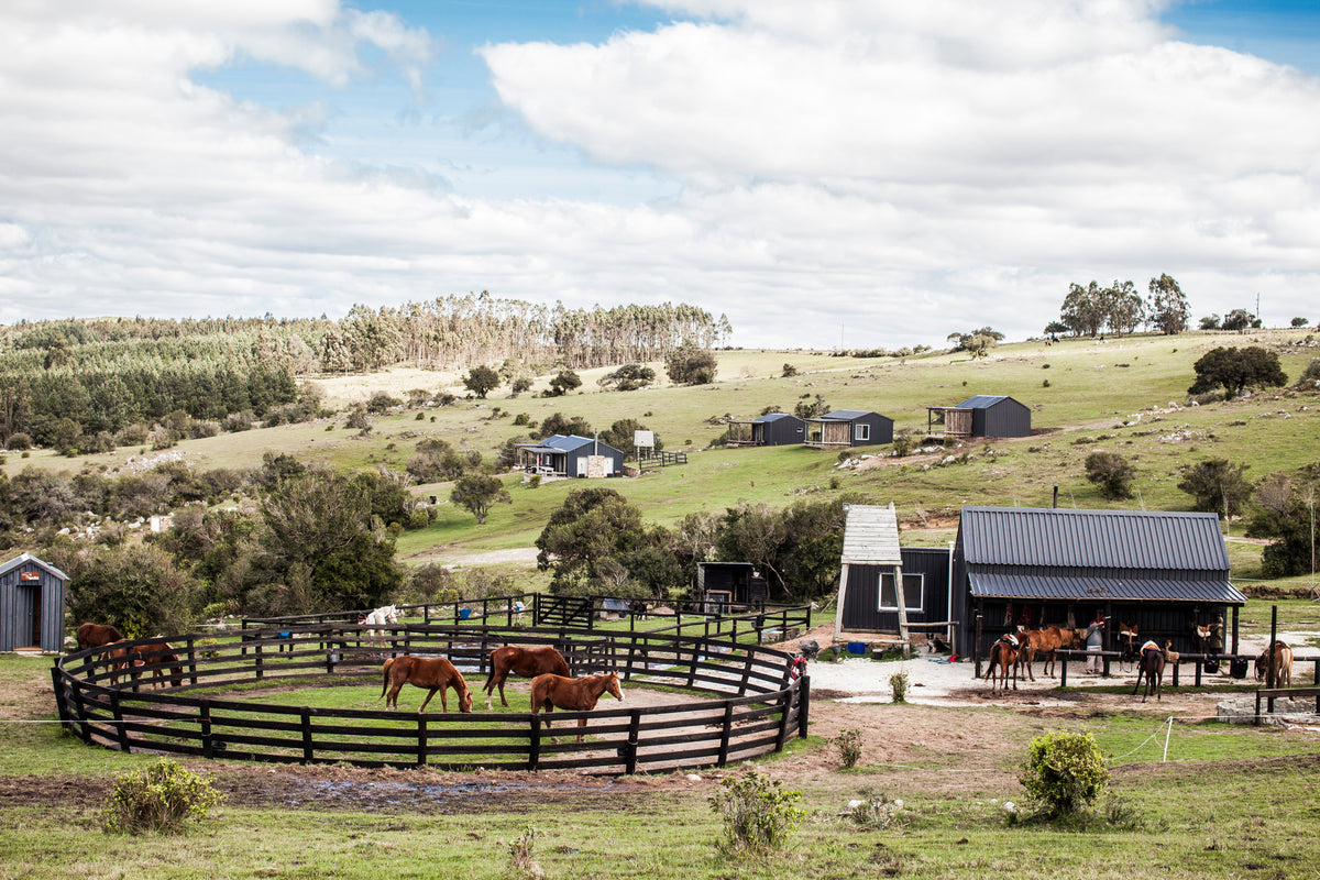 Haras las Tordillas