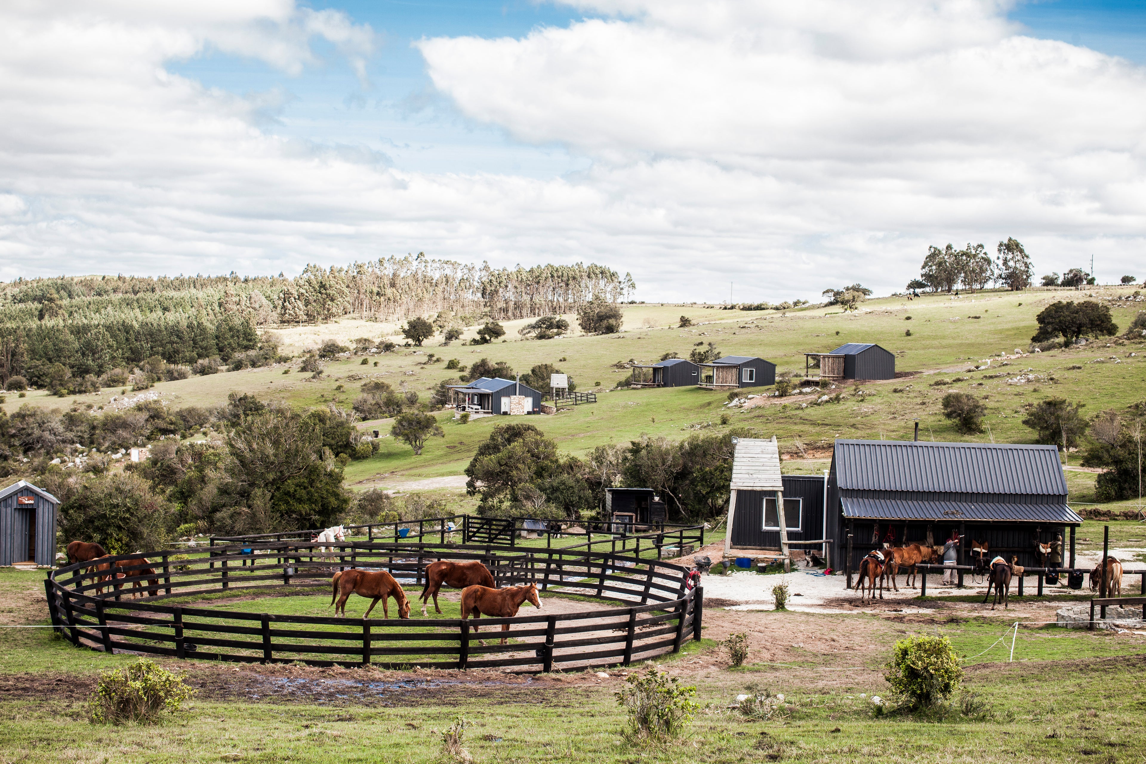 El Haras