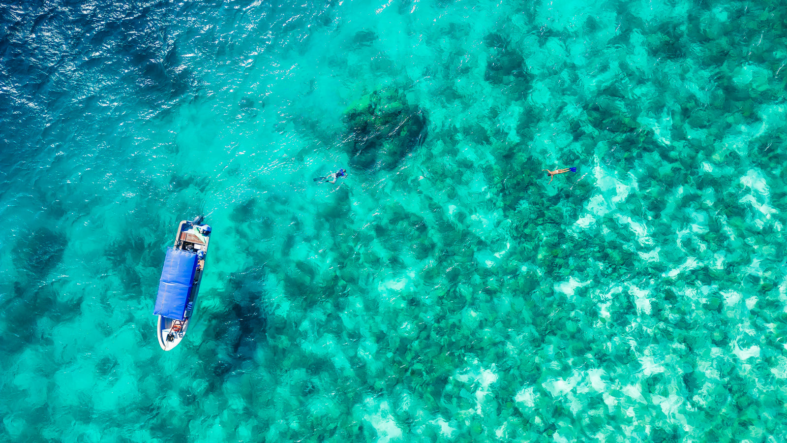 Manta — Snorkelling for Conservation