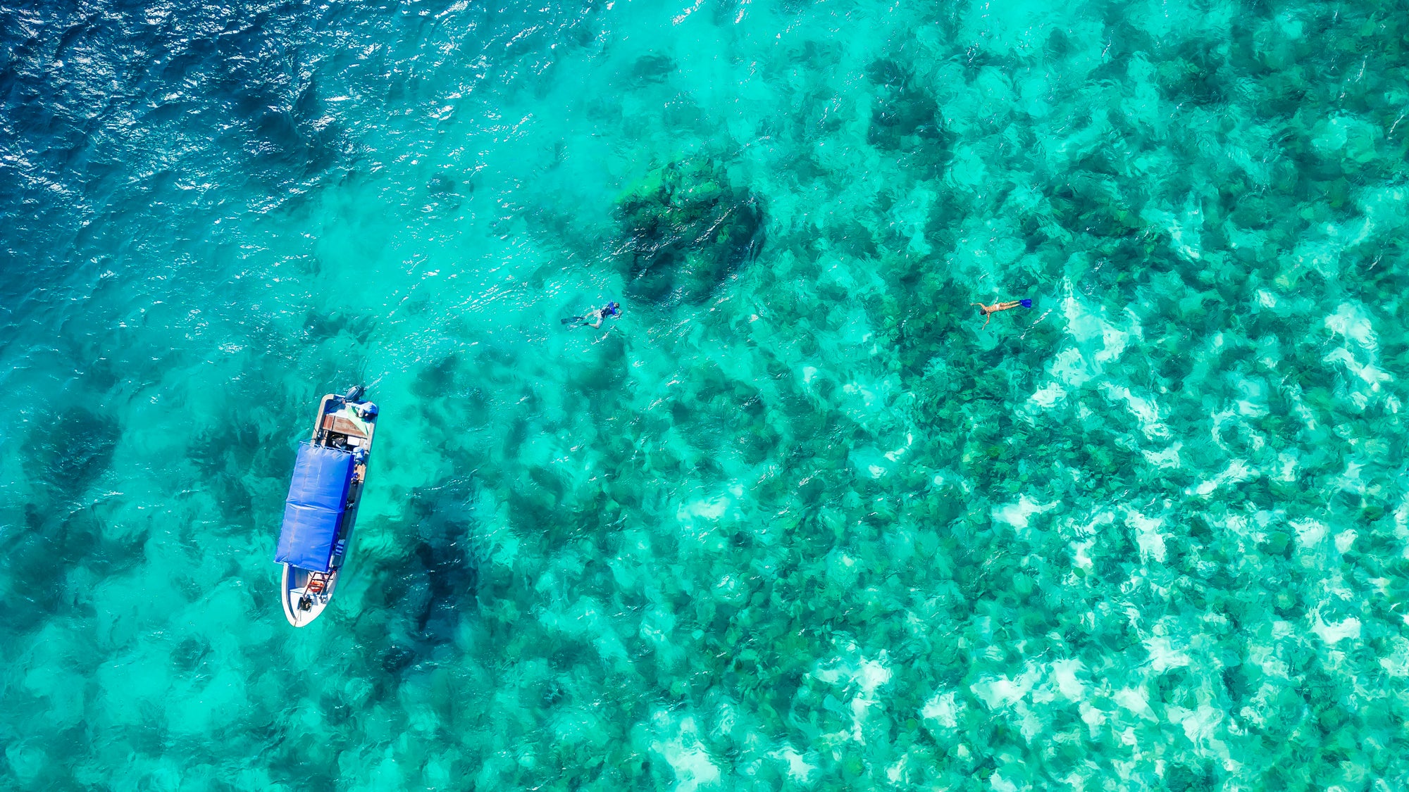 Snorkelling for Conservation