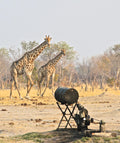 Pump runs gallery image 1