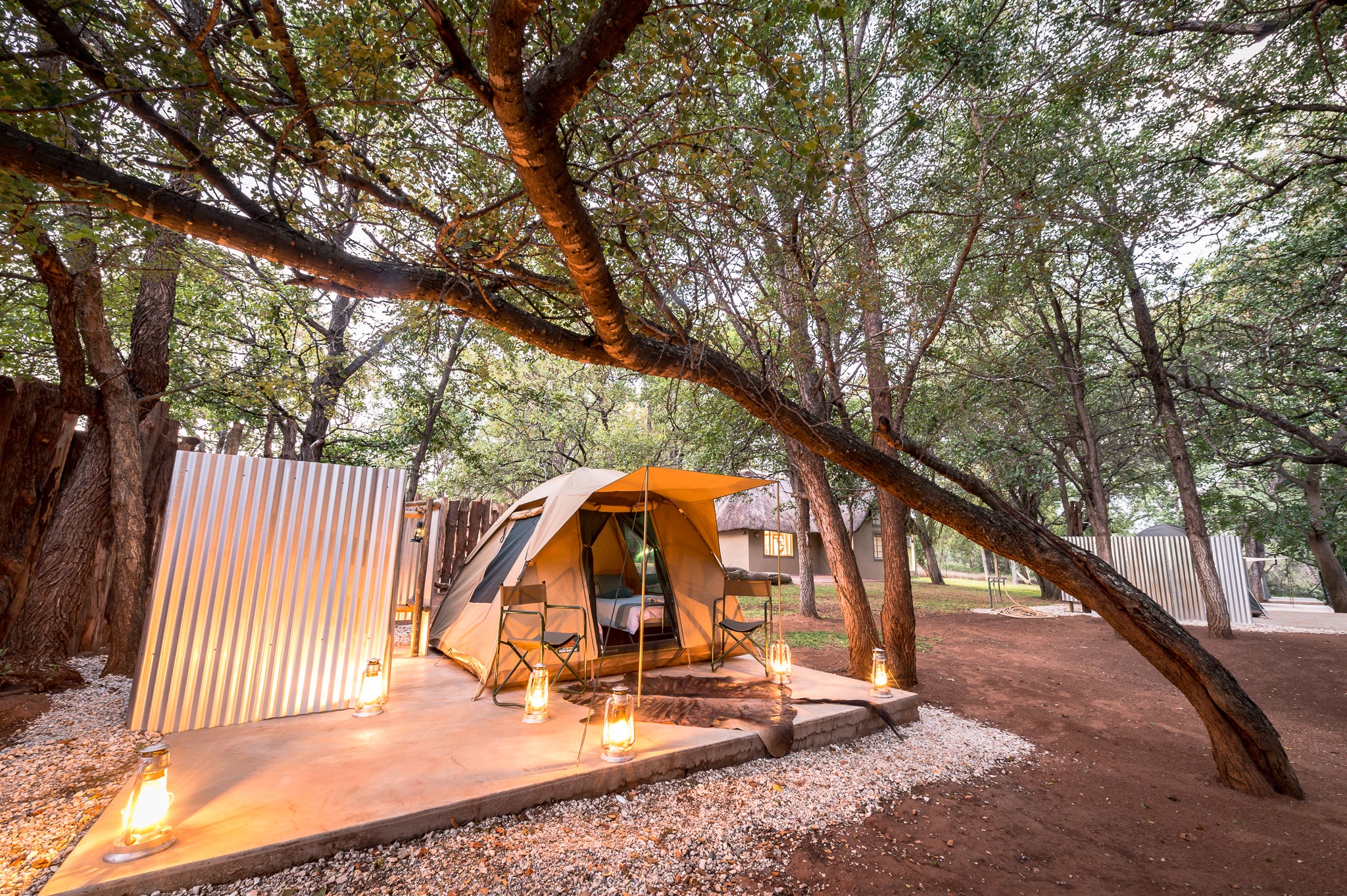 Kruger Bush Camp dome style tent