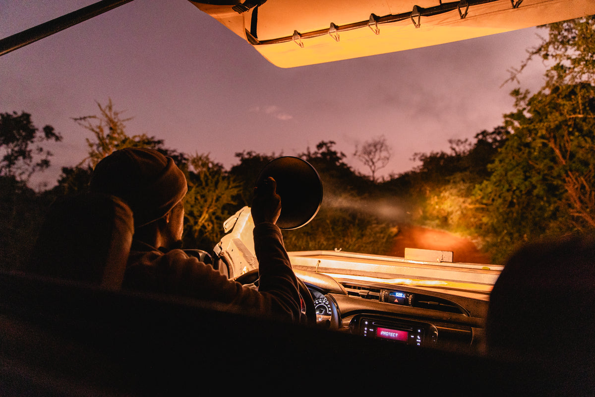 Wilderness Magashi : Wilderness Magashi – Night Drives