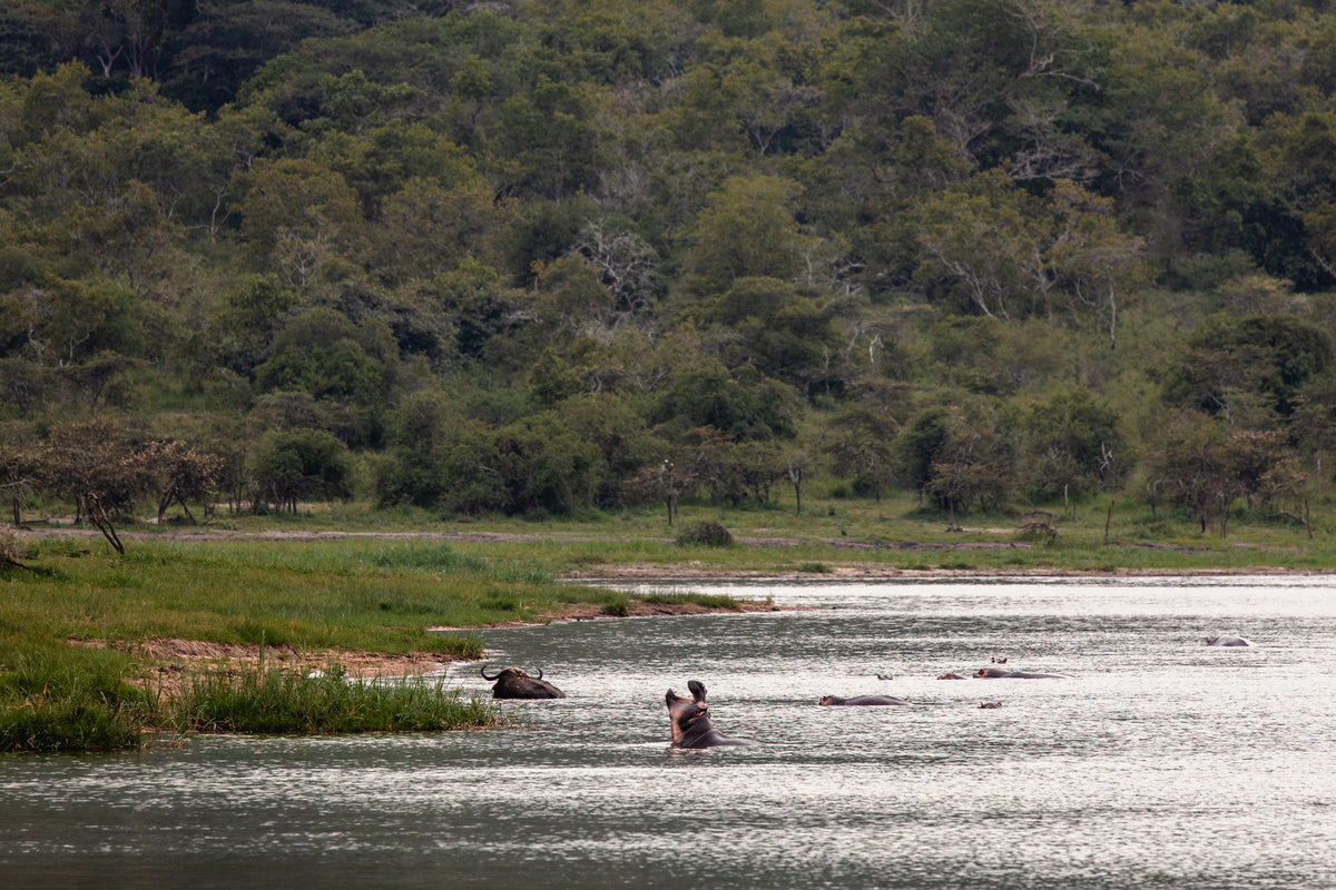 Wilderness Magashi : Wilderness Magashi – Boating *
