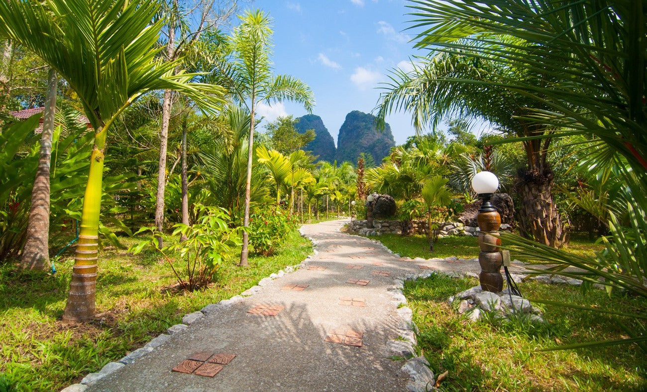 Hotel Khao Sok