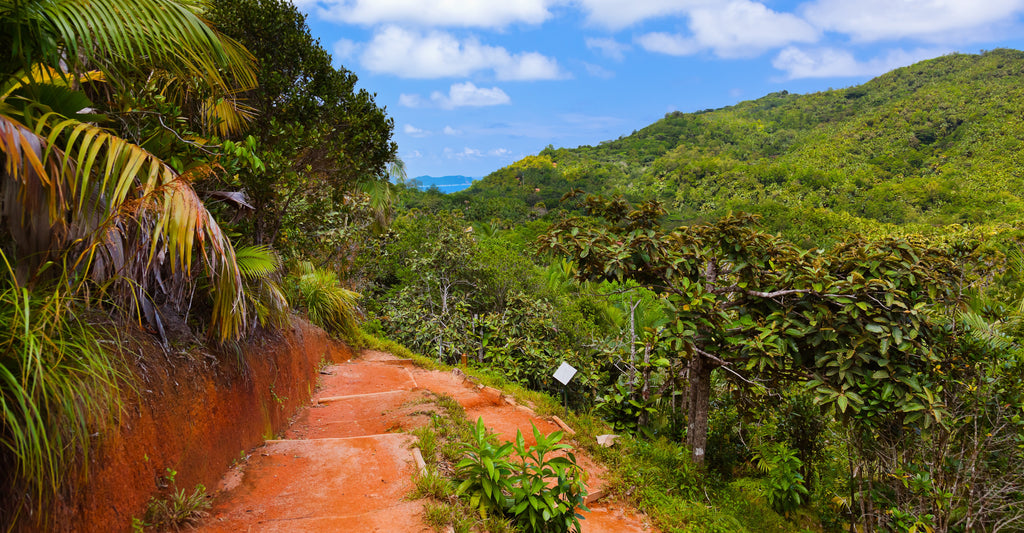 Vallée de Mai National Park