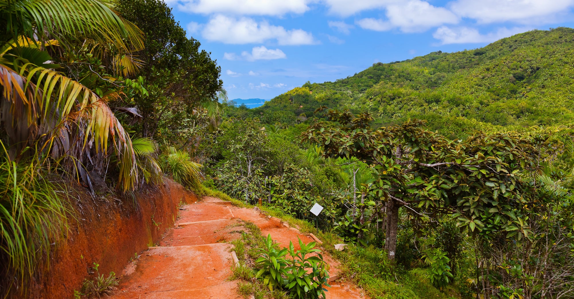 Vallée de Mai National Park