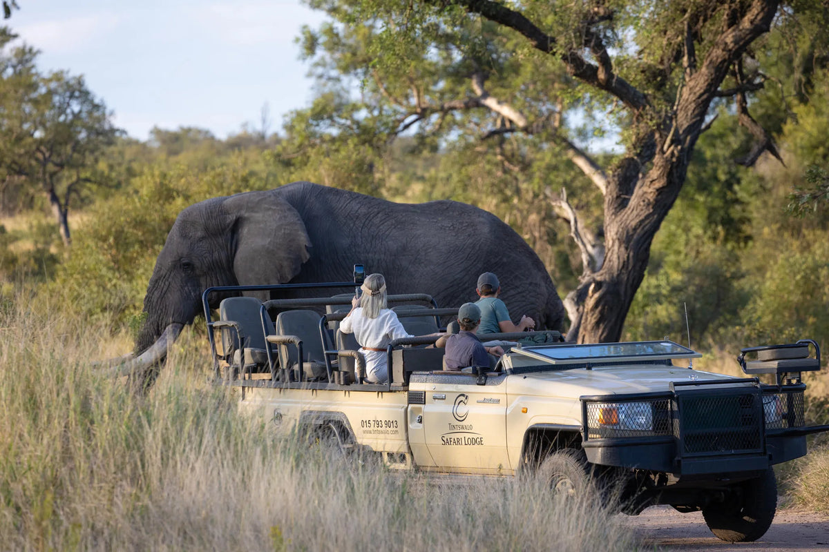 Game Drives at Tintswalo Safari, Manyeleti Private Game Reserve, South Africa.